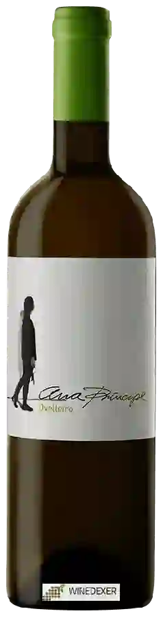 Winery César Principe - Ana Principe Ovelleiro