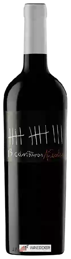 Winery César Principe - 13 Cántaros Nicolás