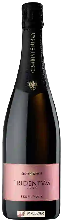 Winery Cesarini Sforza - Tridentum Brut Rosé Winery Cesarini Sforza - Tridentum Brut Rosé