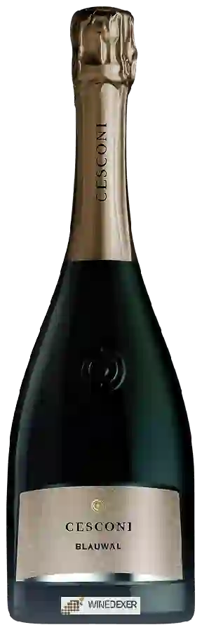 Winery Cesconi - Blauwal Brut Winery Cesconi - Blauwal Brut