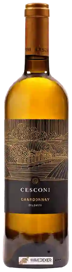 Winery Cesconi - Chardonnay