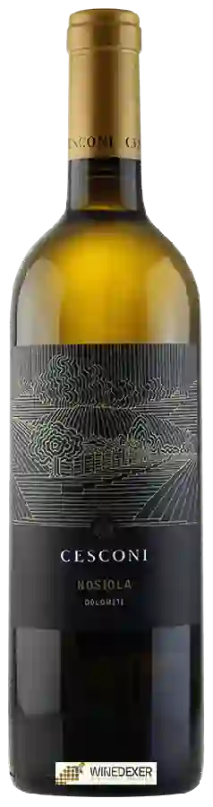 Winery Cesconi - Nosiola Winery Cesconi - Nosiola