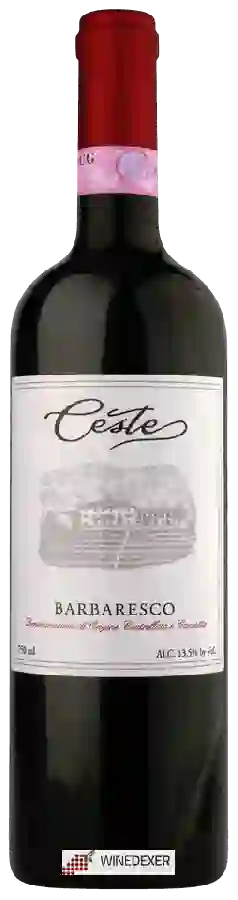 Winery Ceste - Barbaresco Winery Ceste - Barbaresco