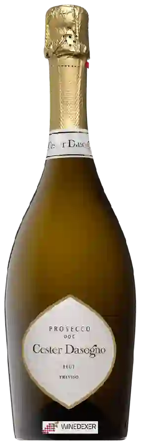 Winery Cester Dasogno - Cester Dasogno Prosecco Treviso Brut