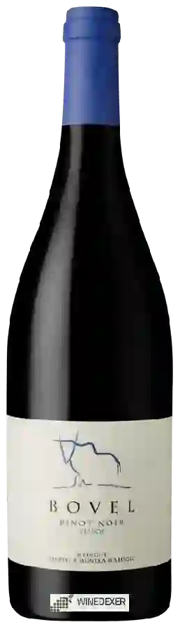 Winery Bovel Daniel & Monika Marugg - Pinot Noir