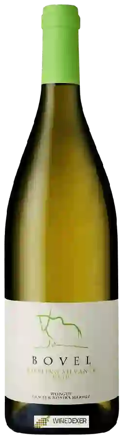 Winery Bovel Daniel & Monika Marugg - Riesling - Silvaner