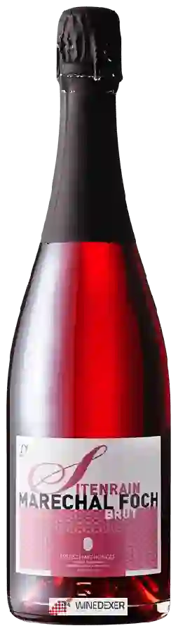 Winery Bioweingut Sitenrain - Maréchal Foch Brut