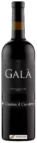 Winery Cantina Il Cavaliere - Galà
