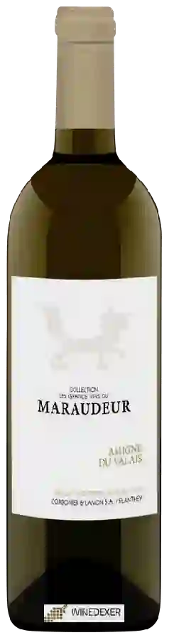 Winery Cordonier & Lamon - Maraudeur Amigne Winery Cordonier & Lamon - Maraudeur Amigne