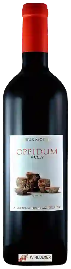 Domaine du Vieux Moulin - Vieux Moulin Oppidum