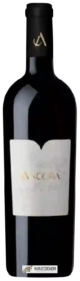 Cave de Jolimont - Ancora Cave de Jolimont - Ancora