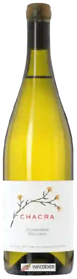 Winery Chacra - Chardonnay Winery Chacra - Chardonnay