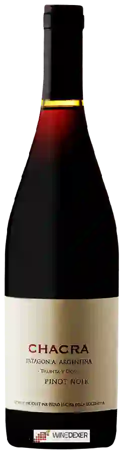 Winery Chacra - Treinta y Dos Pinot Noir