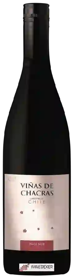 Winery Viñas de Chacras - Pinot Noir Winery Viñas de Chacras - Pinot Noir