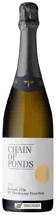 Winery Chain of Ponds - Diva Chardonnay - Pinot Noir Winery Chain of Ponds - Diva Chardonnay - Pinot Noir