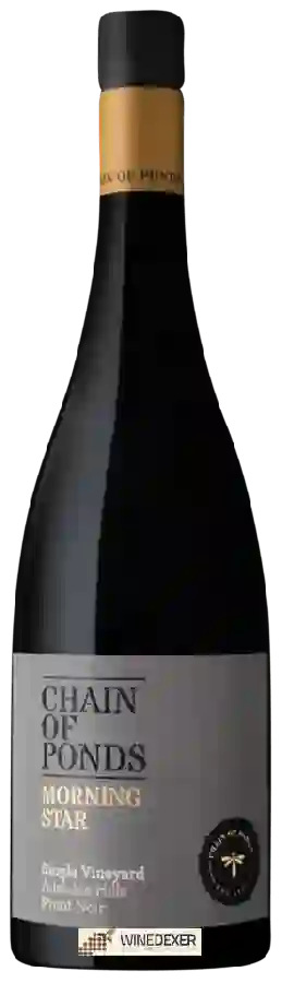 Winery Chain of Ponds - Morning Star Pinot Noir