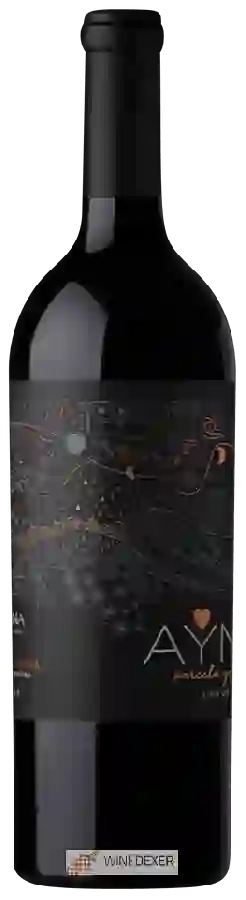 Winery Chakana - Ayni Vino de Parcella Gravas