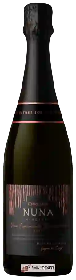Winery Chakana - Nuna Vineyard Espumante Biodinámico Brut