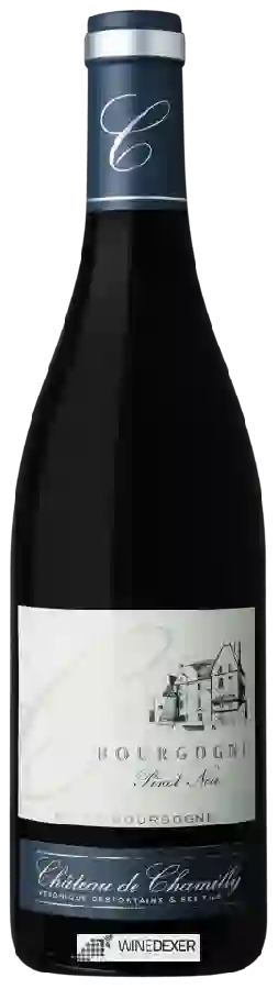 Château de Chamilly - Bourgogne Pinot Noir Château de Chamilly - Bourgogne Pinot Noir