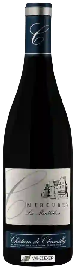 Château de Chamilly - Mercurey 'Les Monthelons'