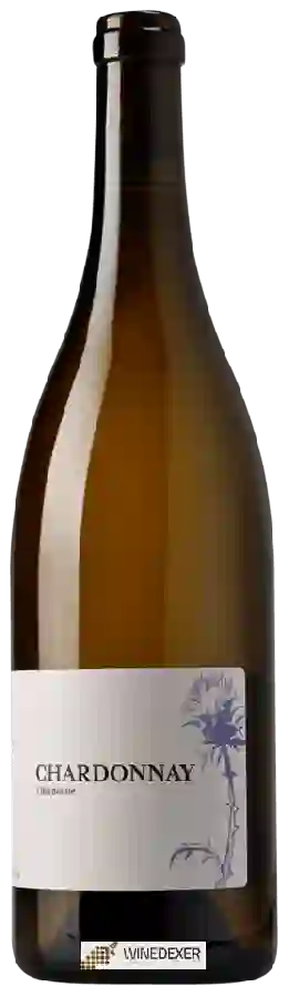 Winery Champ de Clos - Chardonnay Winery Champ de Clos - Chardonnay