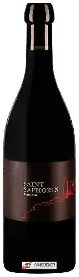 Winery Champ de Clos - Saint-Saphorin Pinot Noir Winery Champ de Clos - Saint-Saphorin Pinot Noir