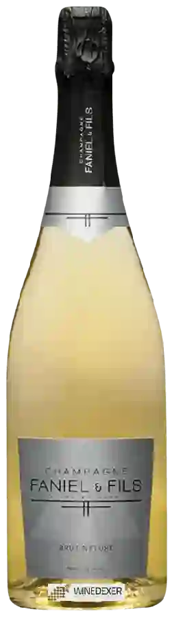 Winery Faniel & Fils - Brut Nature Champagne Winery Faniel & Fils - Brut Nature Champagne
