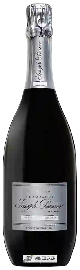 Winery Joseph Perrier - Esprit de Victoria Blanc de Blancs Extra Brut Champagne Winery Joseph Perrier - Esprit de Victoria Blanc de Blancs Extra Brut Champagne