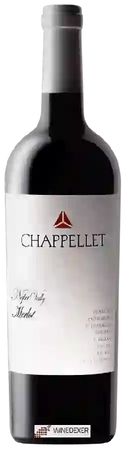 Winery Chappellet - Merlot