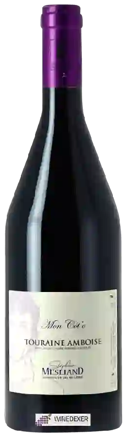 Winery Charles Baur - Pinot Gris Alsace Grand Cru 'Brand' Winery Charles Baur - Pinot Gris Alsace Grand Cru 'Brand'