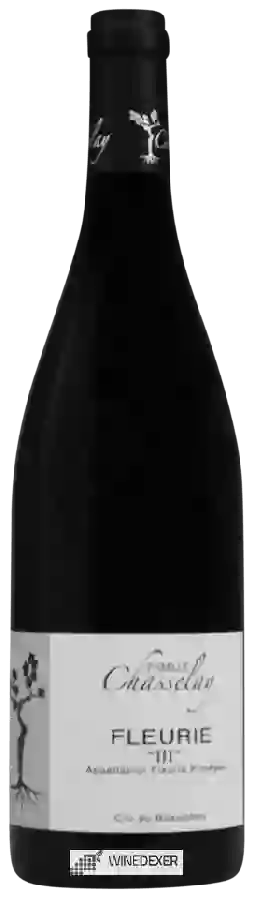 Domaine Chasselay - Fleurie III