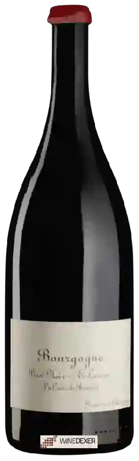 Domaine de Chassorney - Bourgogne La Croix de Bernard En Carran Pinot Noir