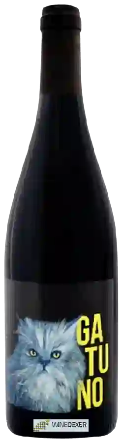 Bodega Abierto - Gatuno Bodega Abierto - Gatuno