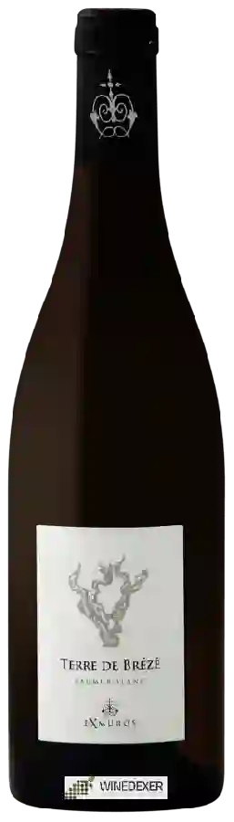 Château de Chaintres - Exmuros Terre de Brézé Saumur Blanc