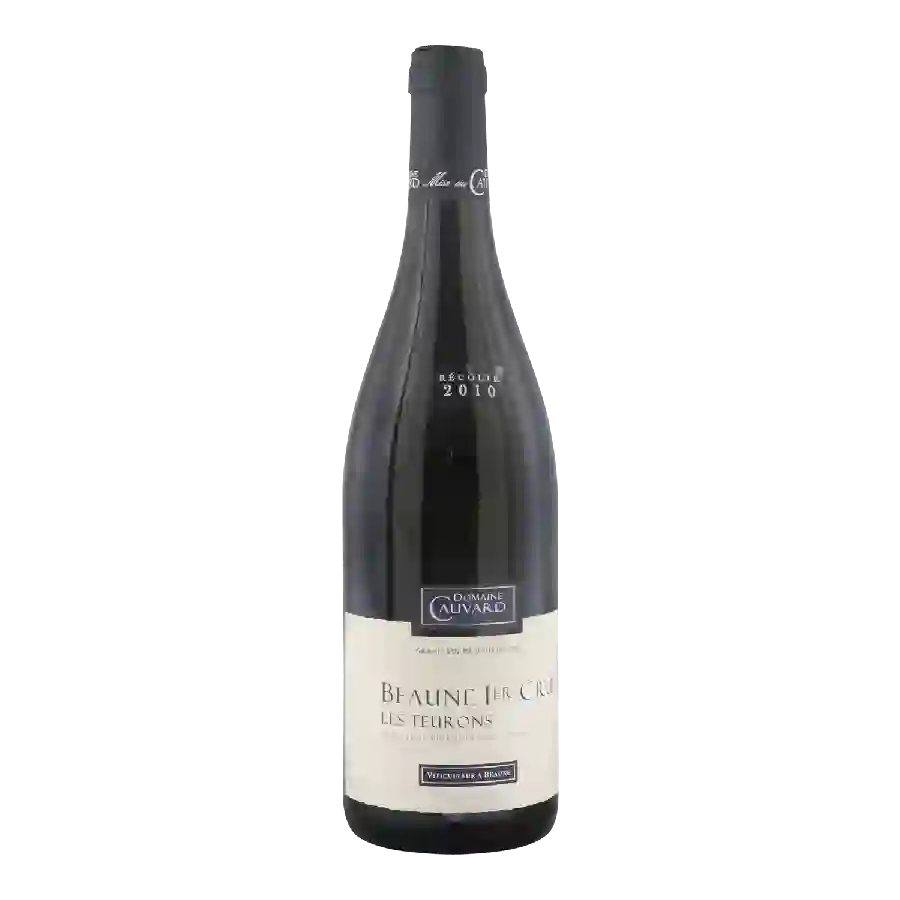 Winery Pierre André - Les Teurons Beaune 1er Cru