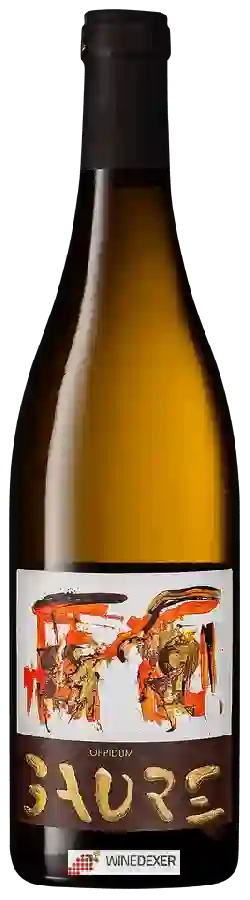 Château de Gaure - Oppidum