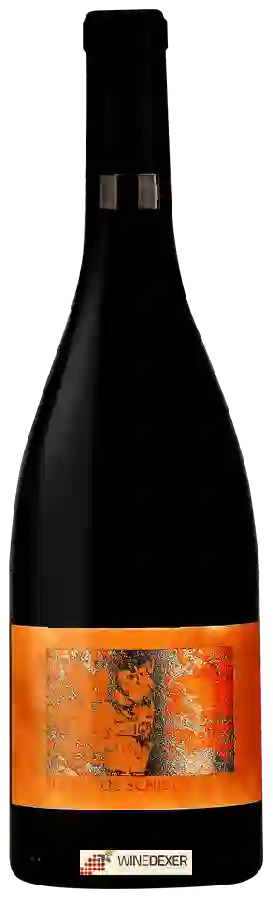 Château de l'Ou - Secret de Schistes