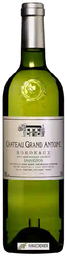Chateau Grand Antoine - Bordeaux Sauvignon