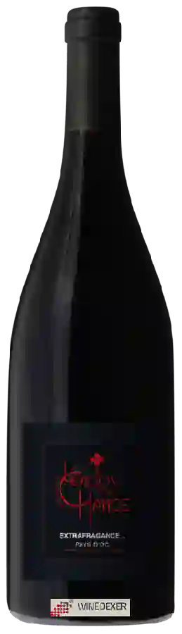 Winery Famille Cornut - L'Enclos de la Chance Extrafragance