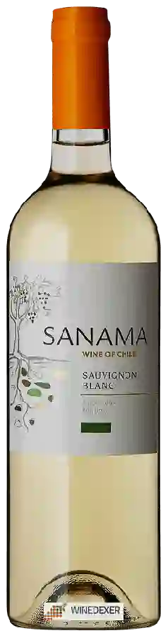 Château Los Boldos - Sanama Sauvignon Blanc Château Los Boldos - Sanama Sauvignon Blanc