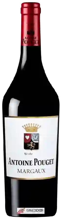 Château Pouget - Antoine Pouget Margaux