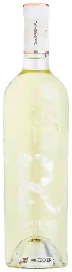 Château Roubine - R De Roubine Blanc Château Roubine - R De Roubine Blanc