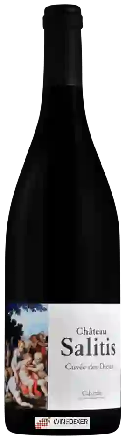 Château Salitis - Cuvée Des Dieux Cabardès