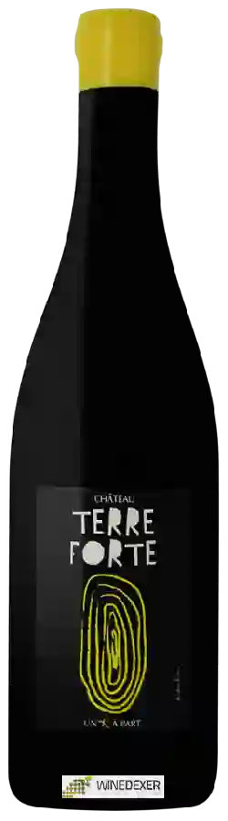 Château Terre Forte - Un K à Part Château Terre Forte - Un K à Part