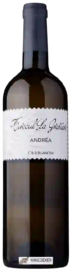 Winery Tirecul la Gravière - Andréa Winery Tirecul la Gravière - Andréa