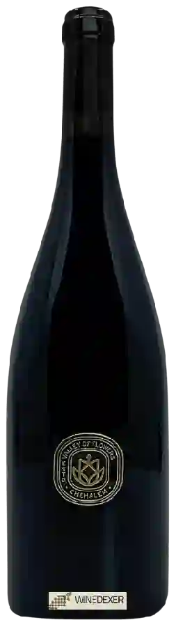 Winery Chehalem - Statement Pinot Noir Winery Chehalem - Statement Pinot Noir