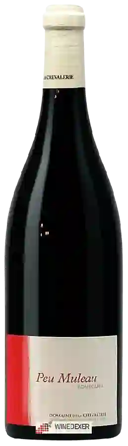 Domaine de la Chevalerie - Peu Muleau Bourgueil
