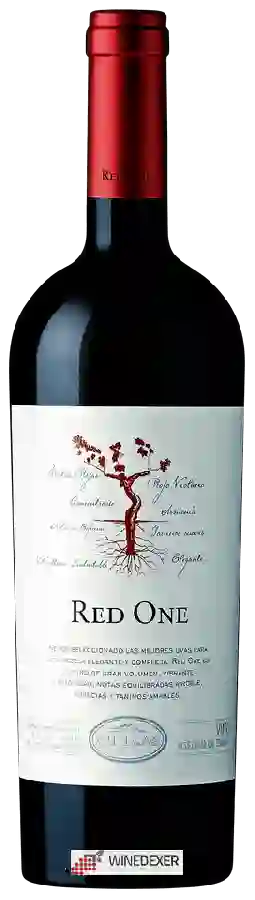Winery Chilcas - Red One