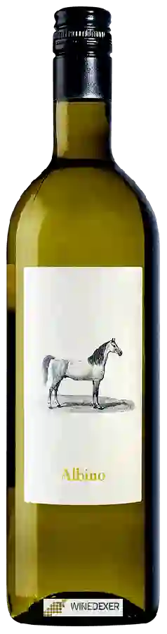 Winery Chiodi Ascona - Albino Winery Chiodi Ascona - Albino