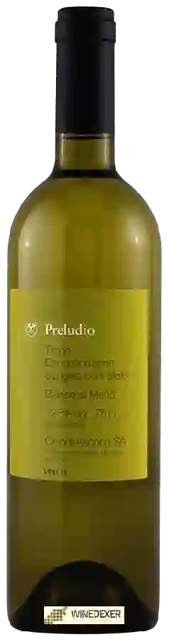 Winery Chiodi Ascona - Preludio Bianco di Merlot Winery Chiodi Ascona - Preludio Bianco di Merlot